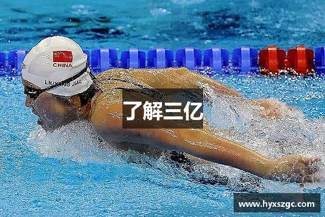 了解三亿